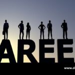 Which College is best for BCA placement in Meerut?
