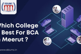 Which College is Best for BCA in Meerut?