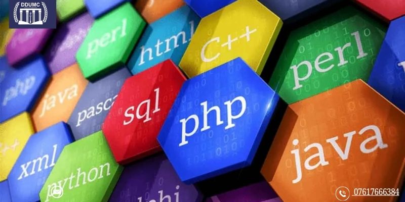 Programming Languages Every BCA Student Should Master