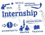 Internships During BBA